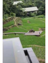 隱入嶺南400年古村｜棲居山野
