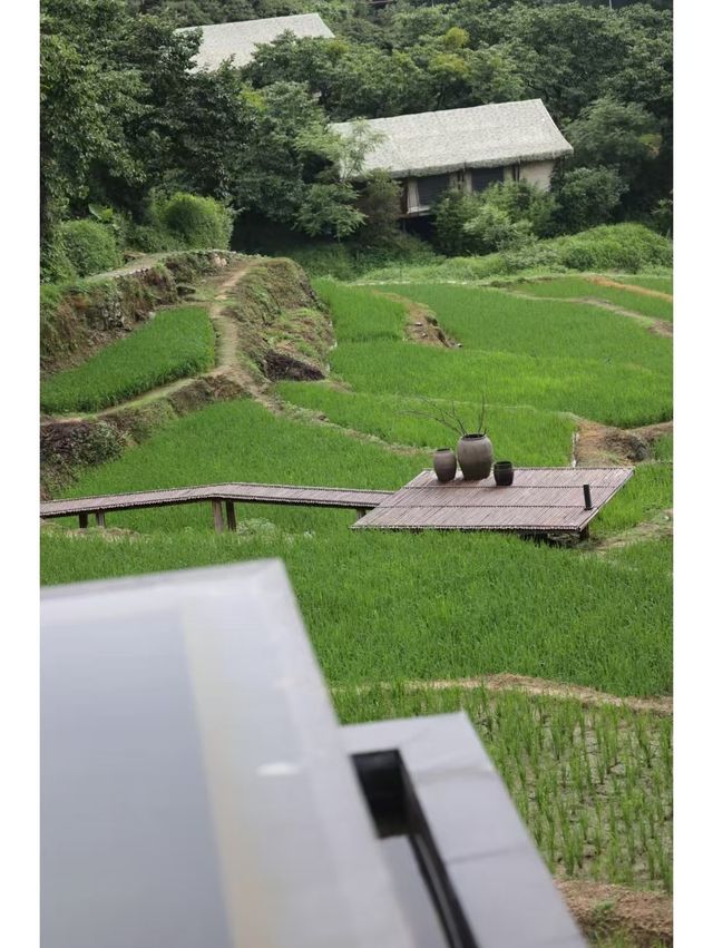 隱入嶺南400年古村｜棲居山野