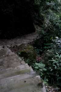 香積寺探幽 | 合谷山居專屬行山體驗