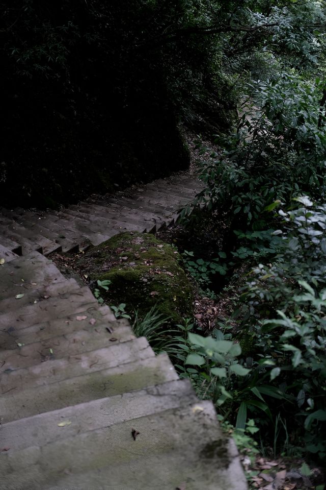 香積寺探幽 | 合谷山居專屬行山體驗