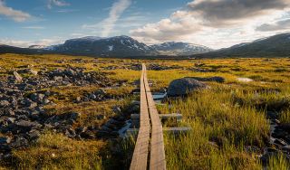Nordic Nature Rhapsody: The Ultimate Swedish Aurora, Ice Hotel & Royal Trail Experience