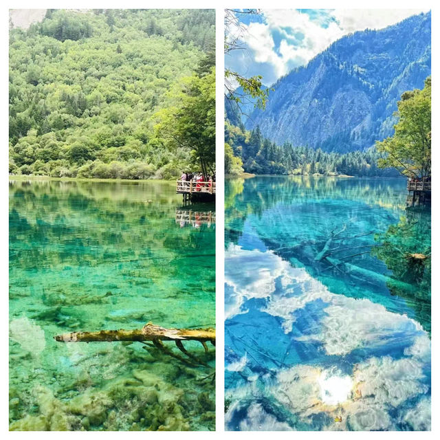 在九寨拾光！把夏天酿成了清涼童話～
