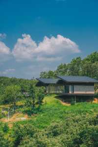 樸心山居｜信陽新晉度假民宿，住進山谷秘境中