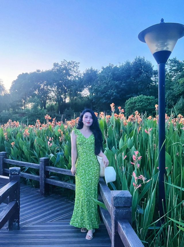 跌入一片熾熱，與夏日撞個滿懷