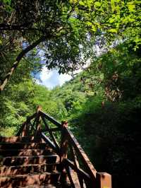 ## 逃離40℃！貴州六盤水親子避暑秘境，19℃嘅夏天太犯規啦！  熱浪灼人？冷氣房困獸？今個夏天