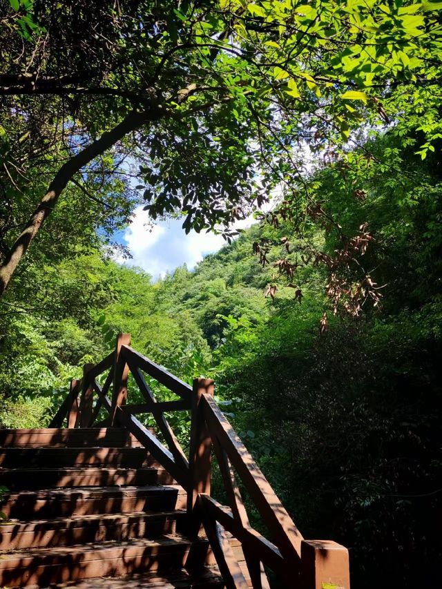 ## 逃離40℃！貴州六盤水親子避暑秘境，19℃嘅夏天太犯規啦！  熱浪灼人？冷氣房困獸？今個夏天