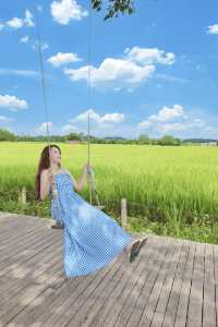 江門 | 走進宮崎駿嘅夏天！只想發呆一個下晝！