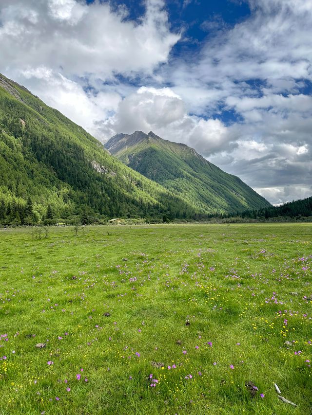 六月份四姑娘山最強攻略，雪山花海一站式全體驗