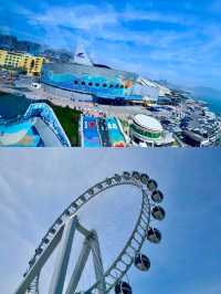 青島極地海洋公園新玩法被我挖到啦！！