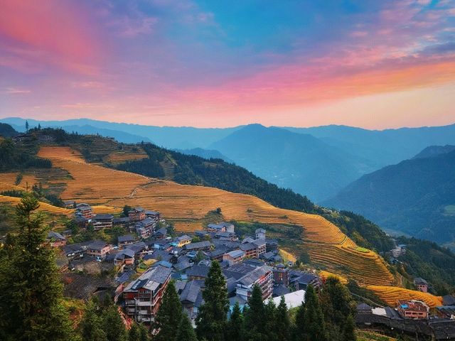 邂逅一場秋日的金色綺夢