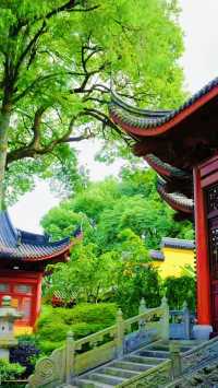 《永福禪寺嘅禪意生活體驗如何？》