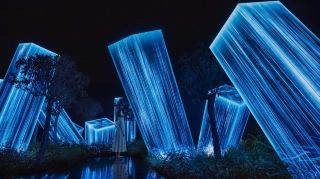 Abu Dhabi teamLab Attraction Guide
