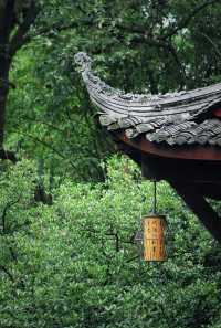 詩意棲居杜甫旁