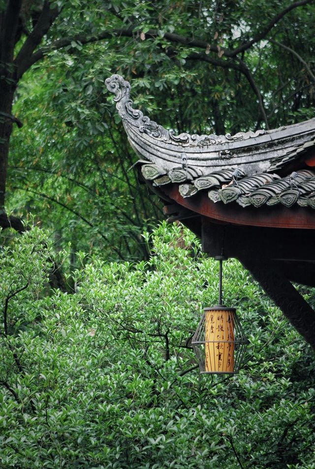 詩意棲居杜甫旁