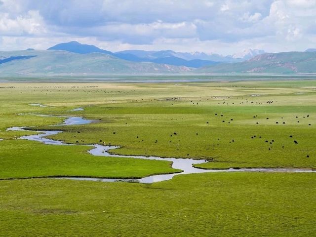 🌄 Xiahe: Tibetan Spirituality, Art & Grasslands in One Peaceful Village 🛕✨