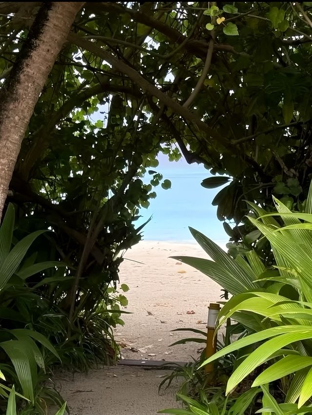 馬代私藏小眾玩法