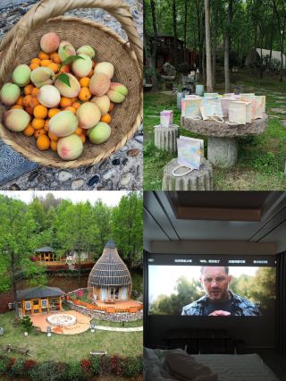 暑期湊仔新玩法！住溫泉鳥巢，摘桃釣蝦整漆器～