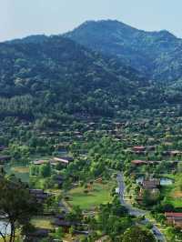 住進山裡莫干山開元森泊隱竹裡