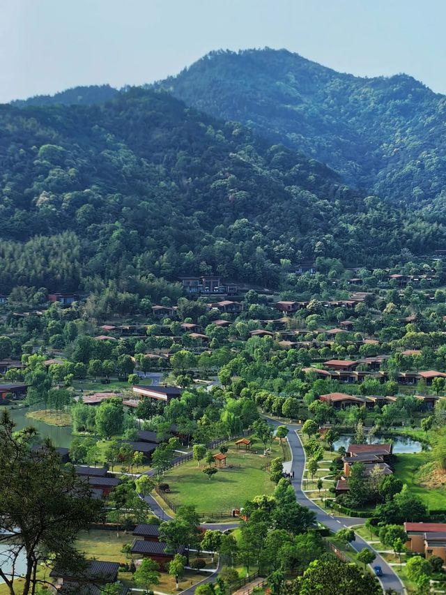 住進山裡莫干山開元森泊隱竹裡