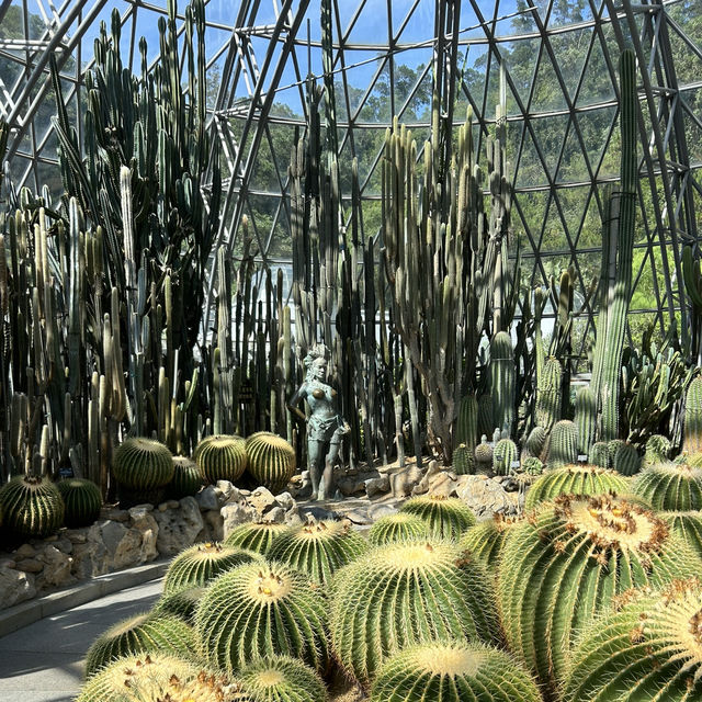 Shenzhen Fairy Lake Botanical Gardens!