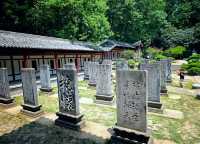 【南京必打卡】明孝陵秘境深度遊攻略