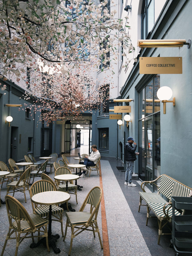 Copenhagen’s Bakery and Cafés Guide 🍰☕️
