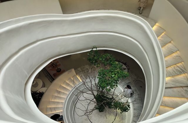 樹影藝術中心•消失的世界