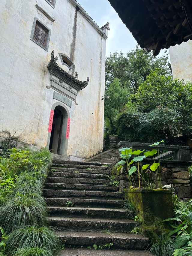 煙雨婺源美如畫