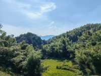呼和浩特避暑攻略｜夏天到秋天都係25°C嘅快樂你明唔明！