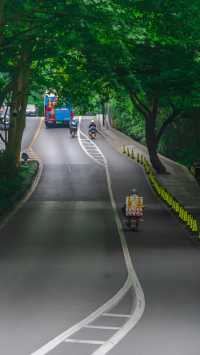 環西湖單車遊全攻略 | 13km精華路線