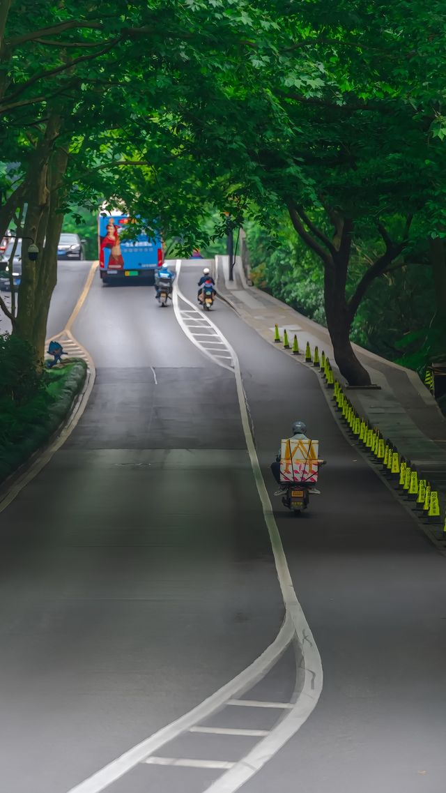 環西湖單車遊全攻略 | 13km精華路線