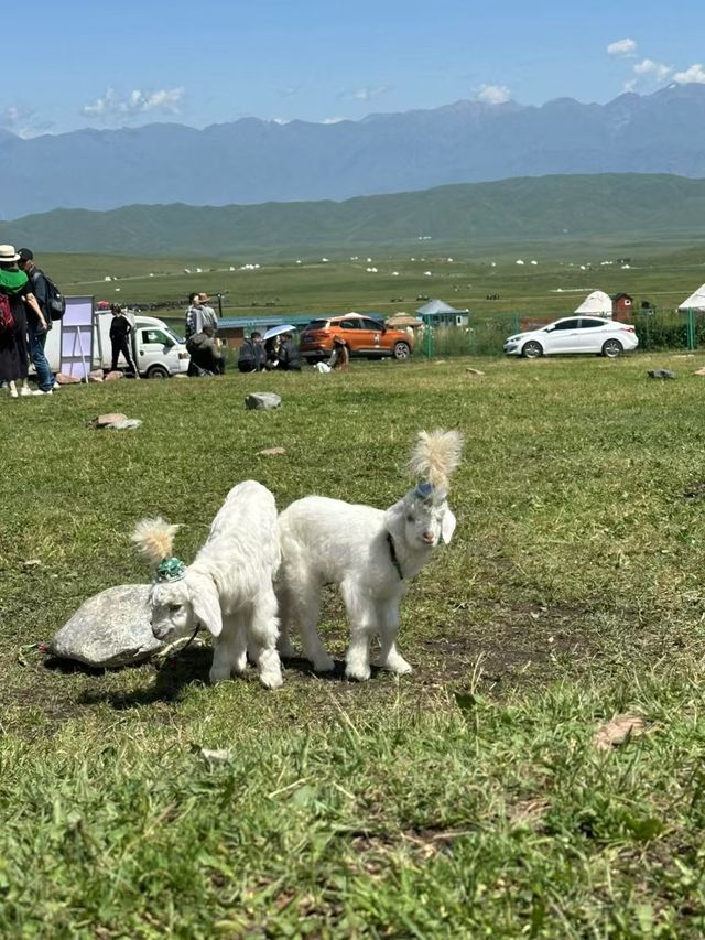 喀什地區打卡景點