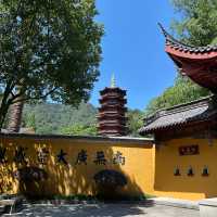 寺廟上香，法喜寺晨遊：清晨靜謐禮佛，感受古剎禪意