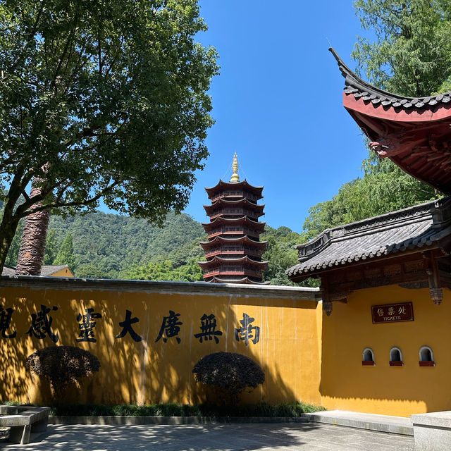 寺廟上香，法喜寺晨遊：清晨靜謐禮佛，感受古剎禪意