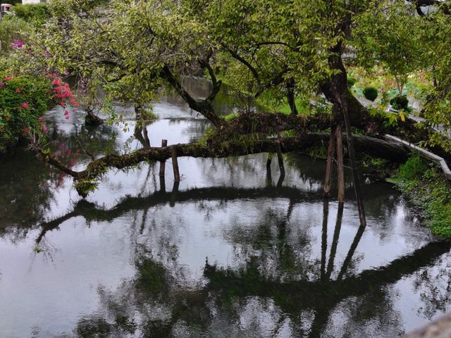 騰沖三日自然手札：雨林拓葉×古鎮炊煙×濕地枕月