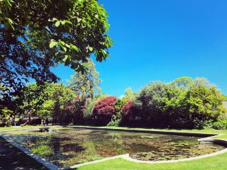Christchurch – New Zealand's "Garden City"