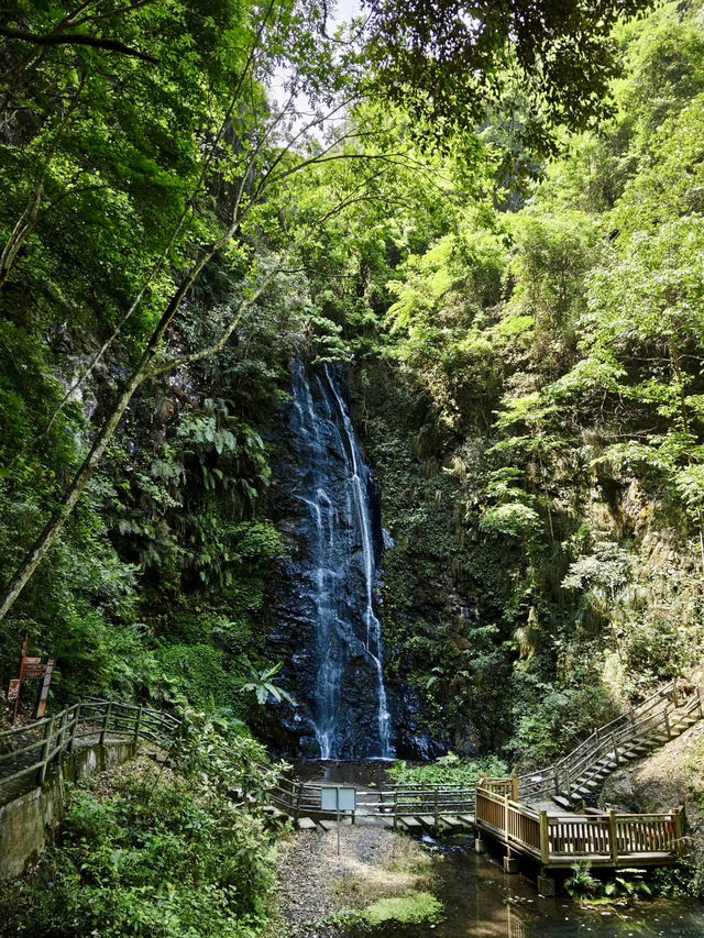天然氧吧・永春牛姆林的生命樂章 天然氧吧・永春牛姆林的生命樂章