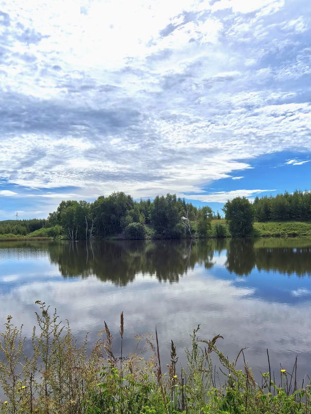 青蔥森林的柔情——御道口草原森林風景區