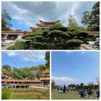🌿仙湖雙湖記:藏在梧桐山下的鏡面秘境攻略