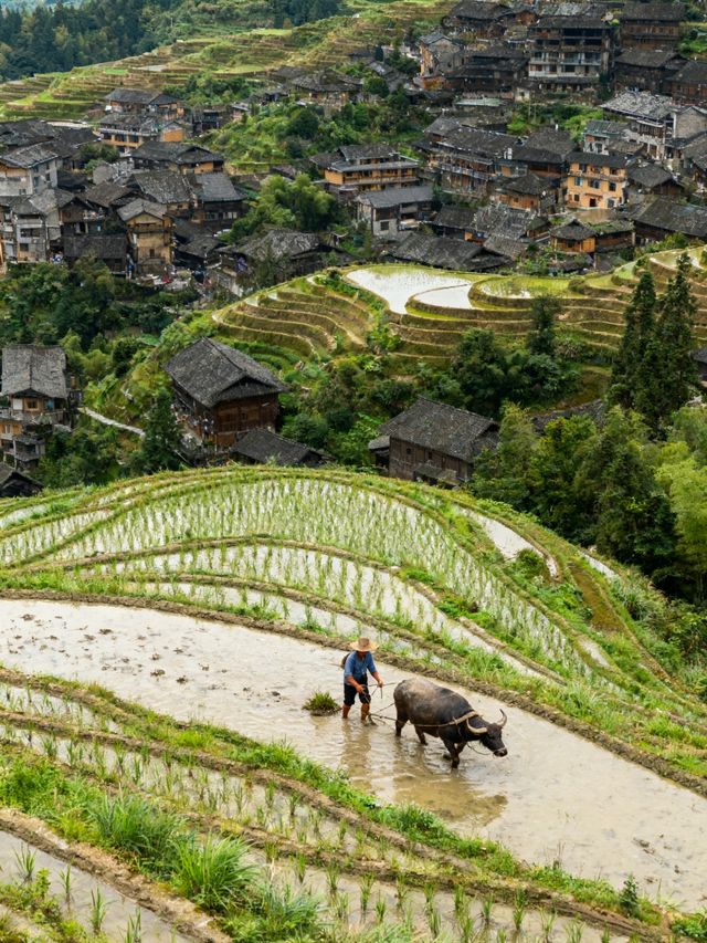 避開人潮！人均500打卡4處現實版仙俠祕境，影視同款仙氣拉滿