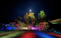 松島月夜，探訪國寶