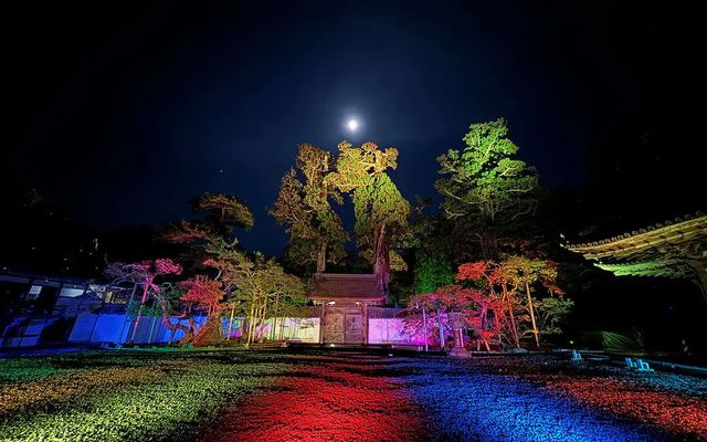 松島月夜，探訪國寶