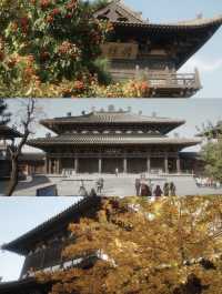 在鳳棲合院，住進銀幕裡的古都時光