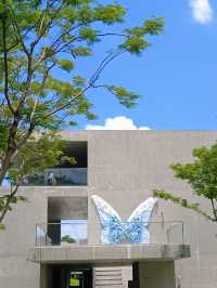 深圳版「蘇州園林」被我找到啦！虹橋公園蝴蝶展超出片