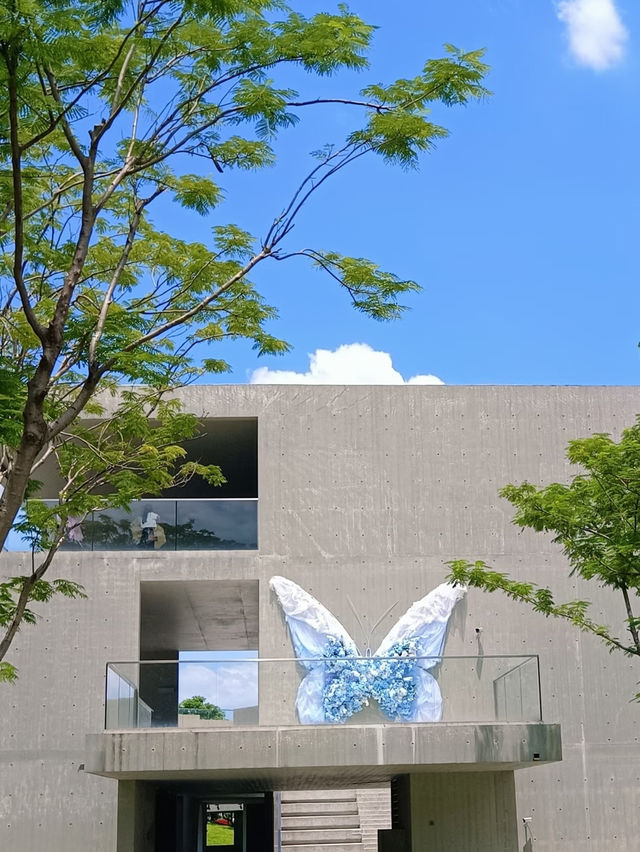 深圳版「蘇州園林」被我找到啦！虹橋公園蝴蝶展超出片