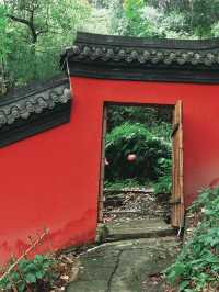 四川瀘州金龍寺藏在山間的禪意秘境