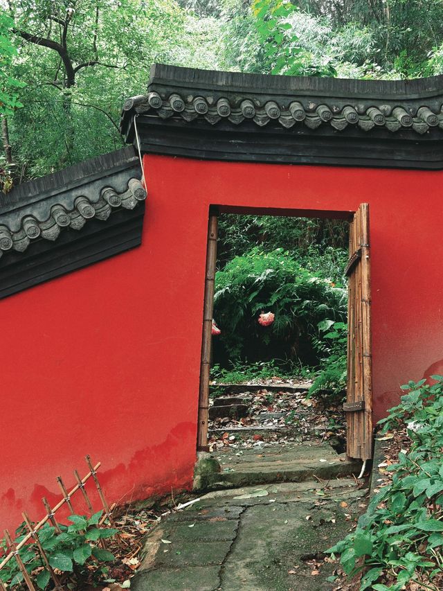 四川瀘州金龍寺藏在山間的禪意秘境 四川瀘州金龍寺藏在山間的禪意秘境