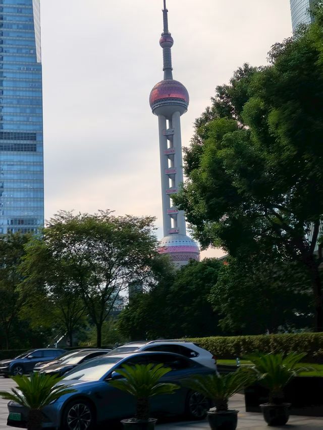 上海——夜上海最佳機位打卡