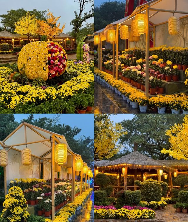 國慶後錯峰指南｜開封菊花展全攻略