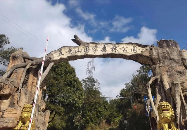 臨滄秘境｜五老山瀑布下偶遇彩虹！雲南小眾森系天花板  五老山C位出道！原始森林+飛瀑銀河美到窒息